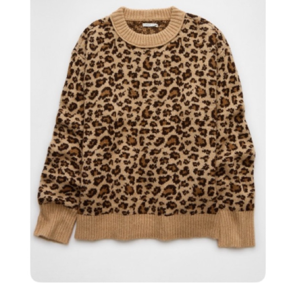 American Eagle Outfitters Leopard Print Whoa So Soft Crew Neck Sweater